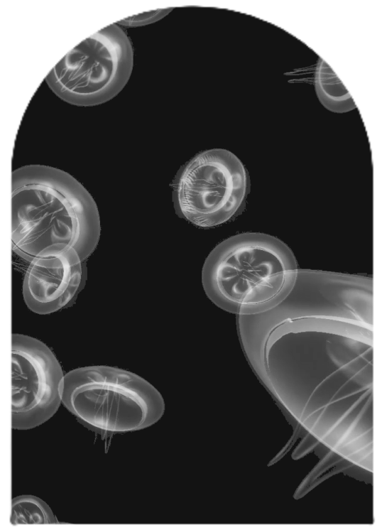 jellyfisharch
